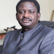 Image result for femi adesina