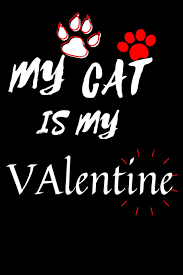 Valentine is the day of lovers. My Cat Is My Valentine Happy Valentine S Day Gift Girlfriend Or Boyfriend Gift Quote Notebook Journal Planner Lined Diary Logbook Perfect Gift Notebook Gift Love Cat Notebook Perfect Gift Cat