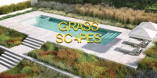 Grass Scapes + Scatter For Blender