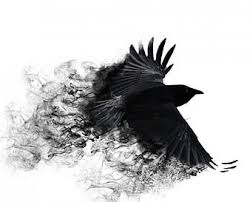 A white wine from niagara peninsula, ontario, canada. Page 4 Hd Crows Wallpapers Peakpx