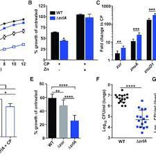 Control panel wiring is best described with a practical example to help you understand its components. Pdf An Acinetobacter Baumannii Zinc Regulated Peptidase Maintains Cell Wall Integrity During Immune Mediated Nutrient Sequestration