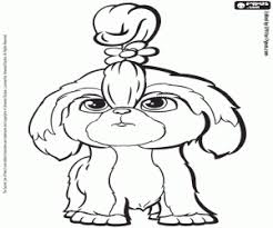 Part of that appeal is no doubt due to their coat and eye color. Daisy A Shih Tzu Dog Coloring Page Printable Game