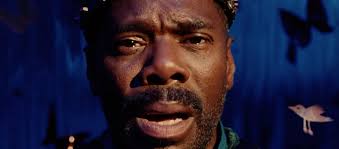 The TIFF Report, Vol 3 ⋆ The MN Movie Man