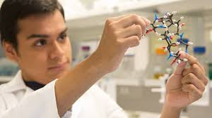 Biology summer program gives undergrads a taste of the scientific life