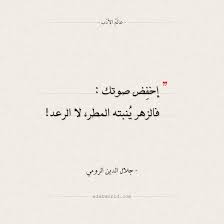 اقتباسات جلال الدين الرومي 8211 إخفض صوتك Wisdom Quotes Wisdom Quotes Life Good Day Quotes