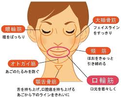 口元から若々しく o o 本当の美しさを求めてーかぐや治療院 楽天ブログ アデノイド 治療 フェイスケア