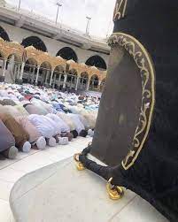 pin on معلومات وغرائب بلا حدود