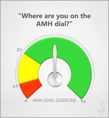 Where Are You On The Amh Anti Mullerian Hormone Dial
