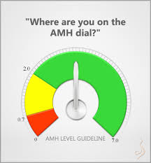 where are you on the amh anti mullerian hormone dial