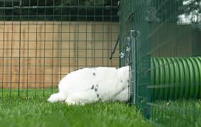 How to build an all wire rabbit cage Zippi Rabbit Tunnel System Omlet