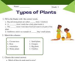 Mine happened to be on plants. Worksheet On Types Of Plants For Grade 1