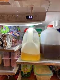 freestanding french refrigerator