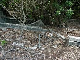 Image result for dip vat