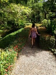 Jardin Japones En Jardin Botanico Santo Domingo Rd Off Shoulder Dress Off Shoulder Shoulder Dress