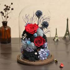 We did not find results for: Handmade Preserved Flowers Never Withered Real Rose Flower Glass Dome Lover Valentine Day Gifts Wedding Birthday Gift Artificial Dried Flowers Aliexpress