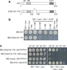 Inhibition of inducible no synthase sy lim's research while affiliated with seoul national university and other places. Flowering Hth1 Is Involved In Constans Mediated Flowering Regulation In Arabidopsis Springerlink