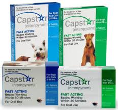 Capstar for cats walmart ©2020 walmart stores, inc. Picking A Flea Tick Medication For Your Pet Dr Justine Lee Dr Justine Lee