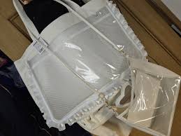 ダイソー 痛 バック