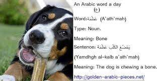 Learning Arabic Msa Fabiennem E Words Learning Arabic Arabic Language