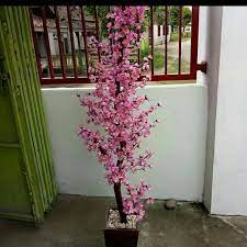 Buat kamu yang memiliki taman di rumah, kehadiran tanaman hias tentu sudah wajib hukumnya untuk memastikan taman terlihat asriaksesoris 76+ gambar bunga. Bunga Hiasan Pemerindah Ruangan Rumah Photos Facebook