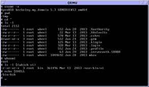 It is commonly used in solaris and is favored for its ability to use emacs and vi shortcuts. Kornshell Wikipedia