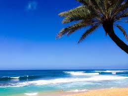 Pin By Hawaii On The Hawaiian Islands Oahu Travel Hawaii Vacation Great Places To Travel