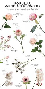 Pink Is Perfect For Any Wedding Here Is A List Of The Most Popular Wedding Flowers In Pink Blush Coral An Pink Wedding Flowers Flower Guide Wedding Flowers