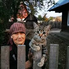 This is done to distinguish each kitten, even if each have similar, same, or interchangeable personalities. This Online Community Documents Photos Of Supermodel Cats That Certainly Know How To Strike A Pose 50 Pics Bored Panda