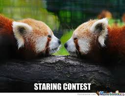 It will be published if it complies with the content rules and our moderators approve it. Best Quotes For Red Pandas Quotesgram