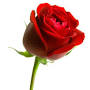 Profile Picture of Obituary for Robert Maupin | April 24, 2024 | Burlington, NC (@omegafsc.com) on Google