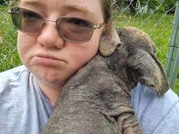 Animal Rescue Efforts at Coalgate Bring Joy to Rescued Animals