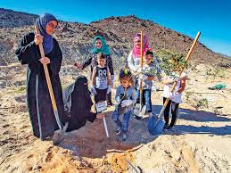 We need volunteers like you to help us plant trees, work community outreach events, and educate our community about trees. Uae Volunteers Plant 1 000 Trees In Sidr Nature Reserve Environment Gulf News