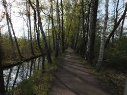 Fuss Radweg Zwischen Lehde Und Leipe 5km Naturschutzgebiet Spreewald Radweg
