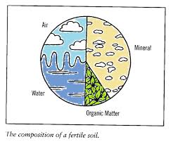 Whitefield Permaculture Soil Fertility Factors Whitefield