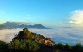 Beberapa jenis jamur juga bisa diolah menjadi bahan makanan tetapi ada yang. Potensi Alam Bukit Jamur Mengenal Bengkayang