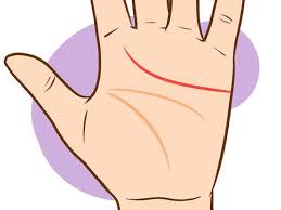 El Significado De Las Lineas De Las Manos Con Imagenes Leer La Mano Lectura De Mano Quiromancia