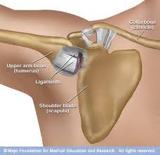 Dislocated Shoulder Symptoms And Causes Shoulder Rehab Shoulder Dislocation Dislocation