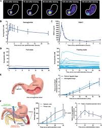 Both studies and accompanying commentaries have been published: Transcellular Stomach Absorption Of A Derivatized Glucagon Like Peptide 1 Receptor Agonist Science Translational Medicine