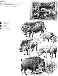 2 primary works • 2 total works. Babi Hutan Hobi Santai Mimir Kamus
