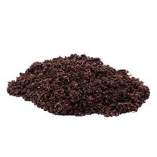 The peat moss is harvested from bogs in estonia that are. Sphagnum Peat Moss Myshrooms