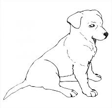 These alphabet coloring sheets will help little ones identify uppercase and lowercase versions of each letter. Labrador Coloring Pages Best Coloring Pages For Kids