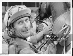 1,385 Willetts Stock Photos, High-Res Pictures, and Images