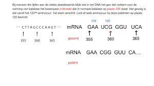 Oefeningen Examenopgaven Met Dna Mrna Geschikt Voor Vwo Youtube