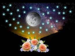 Pin En Videos De Todas Las Modalidades