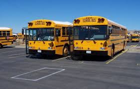Image result for School Bus Yellow 2019 Transit
