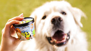 Dollar tree store locations in rochester, new york (ny). Doggie Desserts Ben Jerry S Enters The Pet Food Business Rochesterfirst