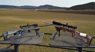 17 HMR Shoot-off: Savage 93R17 vs. CZ 455 - The Truth About Guns