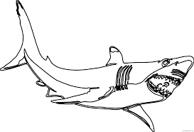 Hammerhead shark free coloring pages are a fun way for kids of all ages to develop creativity, focus, motor skills and color recognition. Hammerhead Shark Coloring Pages Hammerhead Shark Black And Printable Coloring4free Coloring4free Com