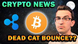 Xrp is the fifth largest cryptocurrency by market cap even after the recent announcement of the sec complaint. Cardano Btc Flame
