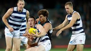 Who are you backing in tonight's first prelim final? Afl Umpires Leave Fans Seeing Red Port Adelaide Vs Geelong Reaction